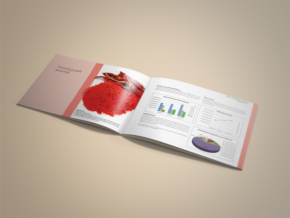 CIFL annual report design inner page 2