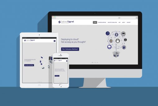 Salted Signal web design and development featured image