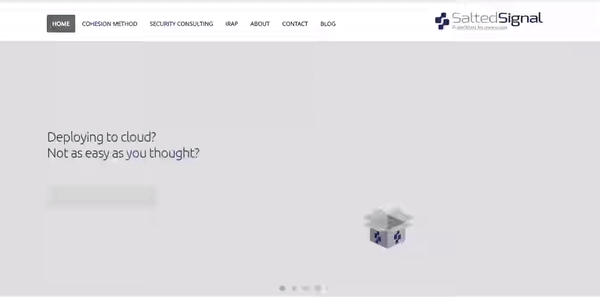 Salted Signal web design and development home page animation